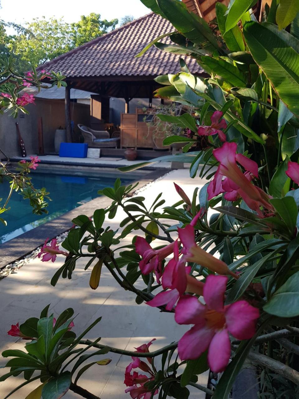 Gili Exotic Villa Quần đảo Gili Ngoại thất bức ảnh