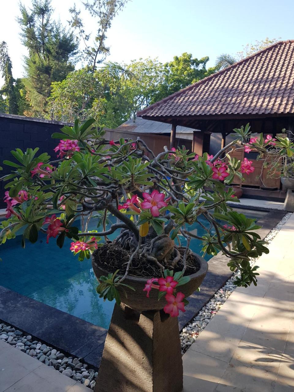 Gili Exotic Villa Quần đảo Gili Ngoại thất bức ảnh